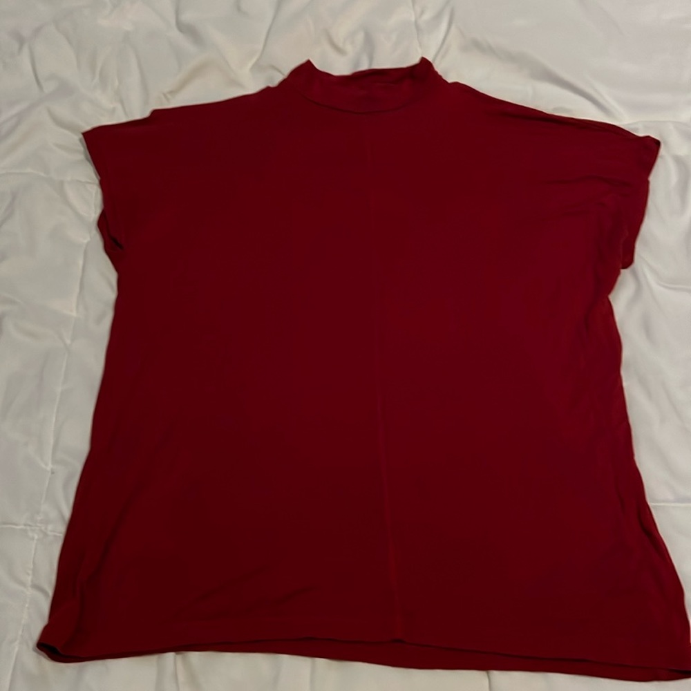 Zara mock neck top